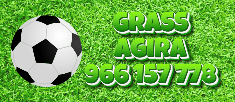 GRASS-agira-966-157-778-1-8-2024